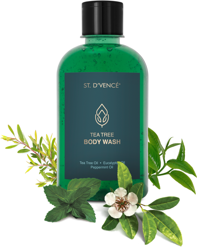Tea Tree & Eucalyptus & Peppermint Oil Body Wash (960x960), Png Download
