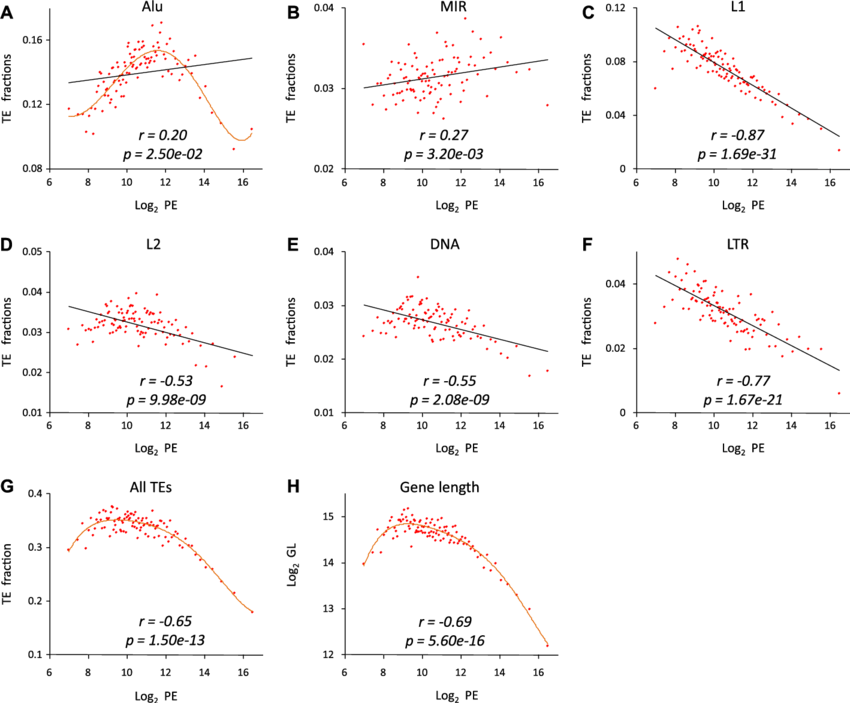 Relationships Between The Te Gene Fractions For Alu, (850x703), Png Download
