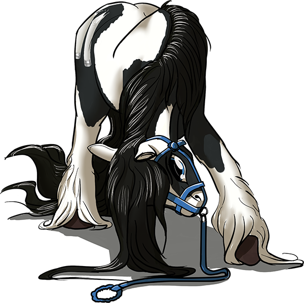 Lostdragon01, Bowing, Bridle, Feral, Gypsy Vanner, (600x599), Png Download
