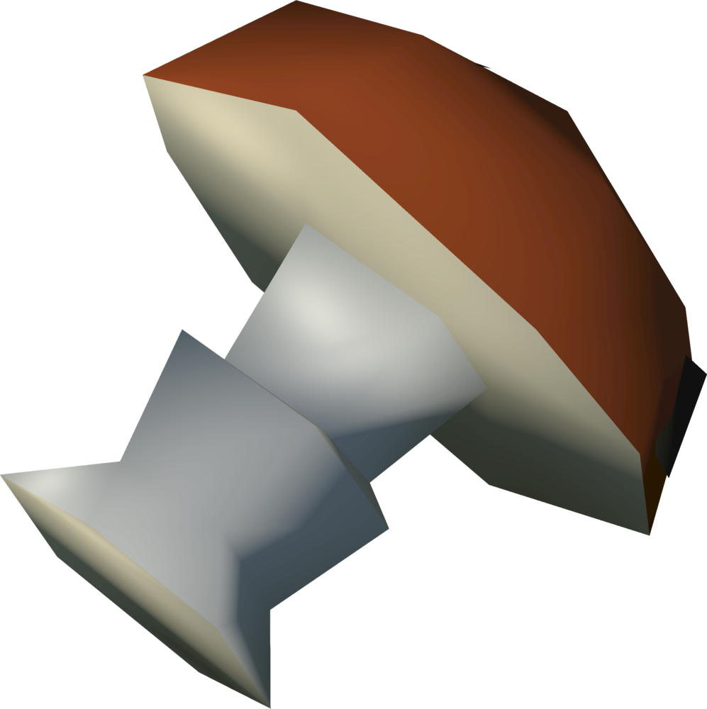 Mort Myre Fungi Can Be Obtained In Mort Myre Swamp (997x1000), Png Download