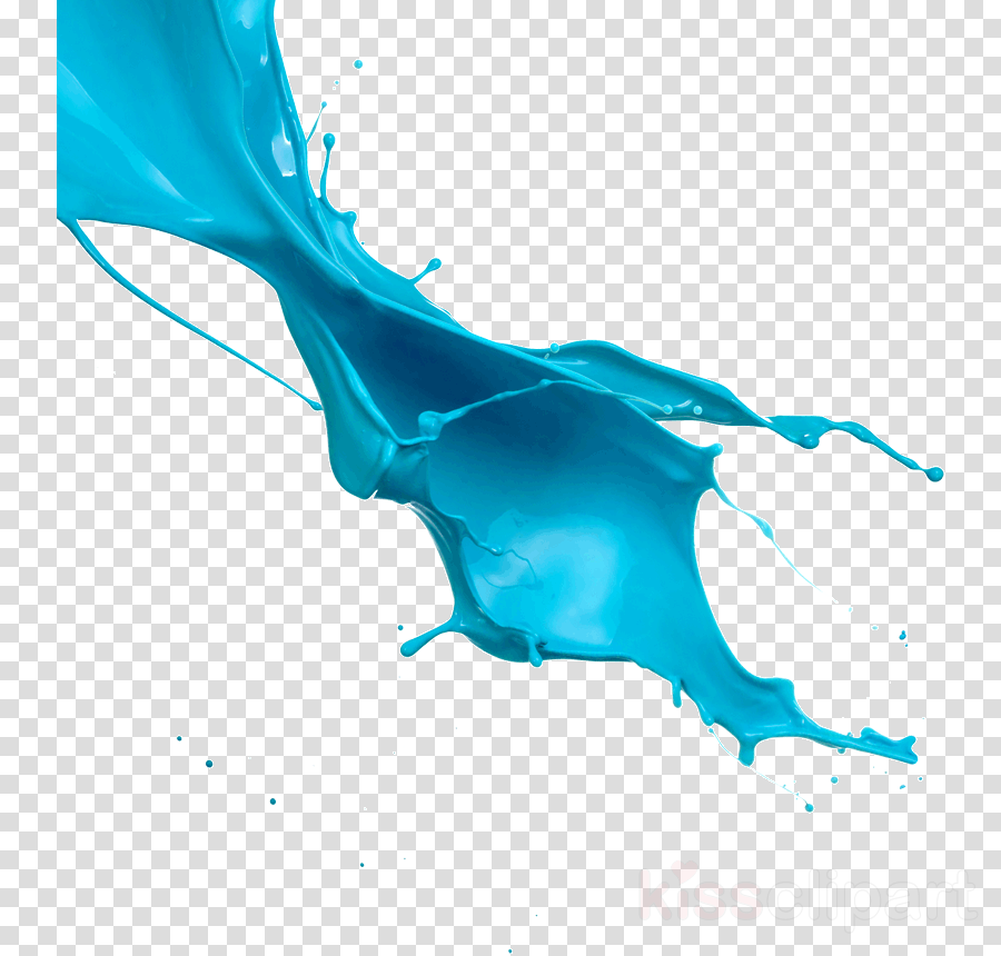 Paint Splash Clipart Paint Color (900x860), Png Download