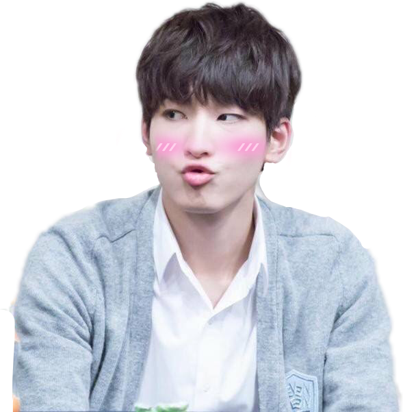 Kpop Wonwoo Sticker Stephaniersam Png Kpop Wonwoo (589x601), Png Download