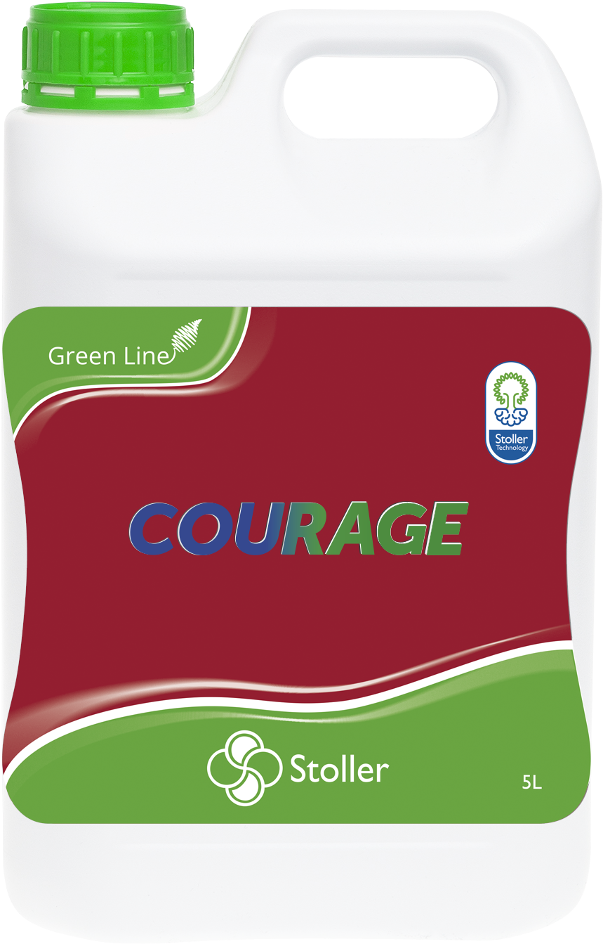 Leave A Reply Cancel Reply (1063x1527), Png Download