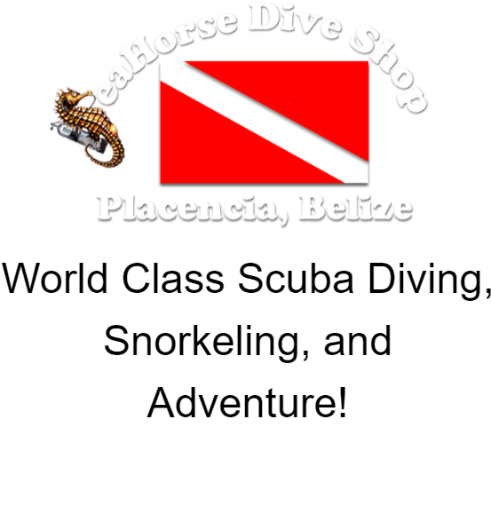 32 123k Starthere 23 Oct 2017 (1283x705), Png Download