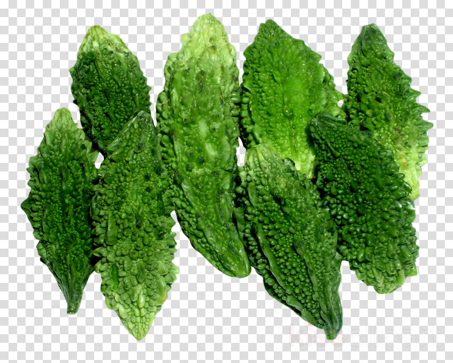 Bitter Gourd Png Clipart Bitter Melon Squash Vegetable (900x720), Png Download