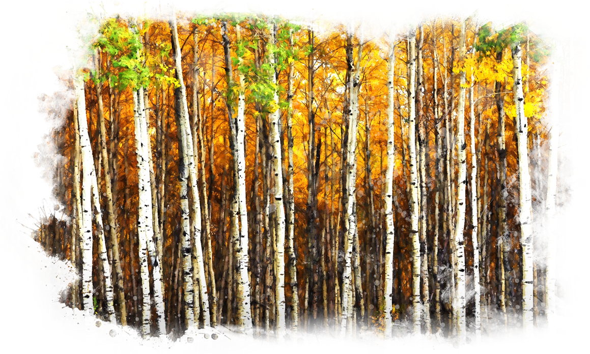 The Soap Soundz® Outdoor Sportsman Line Of Hand Soaps (1200x800), Png Download