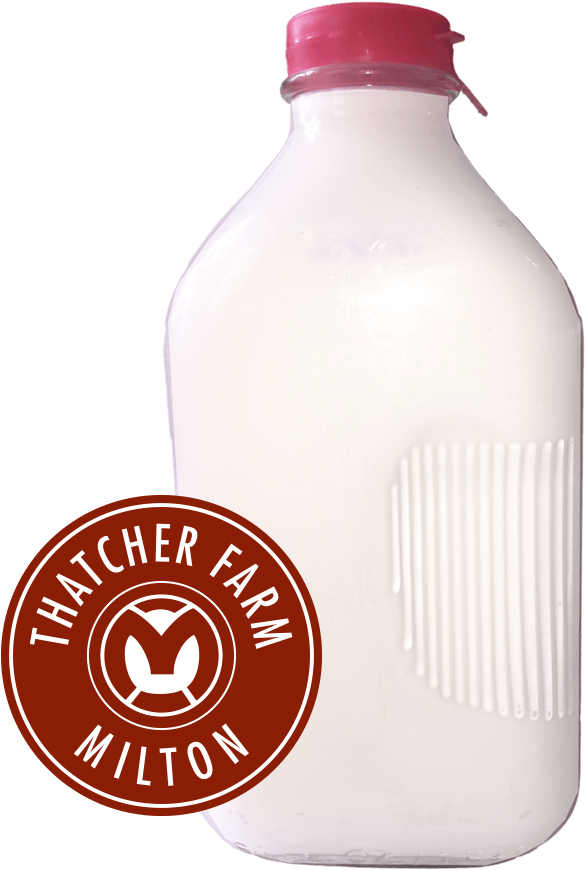 1/2 Gallon Whole Milk - Fat (900x900), Png Download