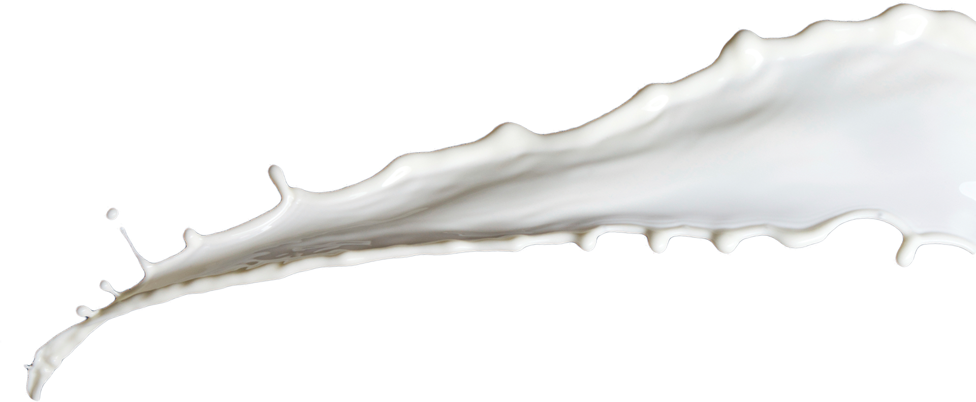 25,000 Mt Of Dairy Supplied To Aus & Nz - Milk (1920x800), Png Download