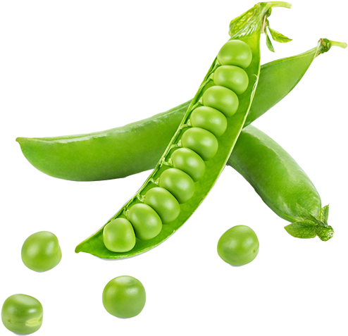Image - Peas Vegetables Png (500x480), Png Download