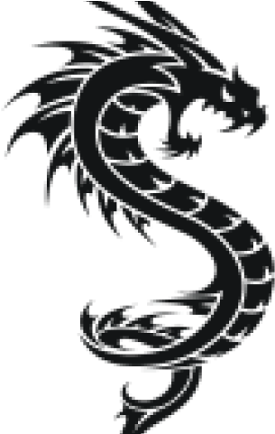 Black And White Dragon Tattoo (640x480), Png Download