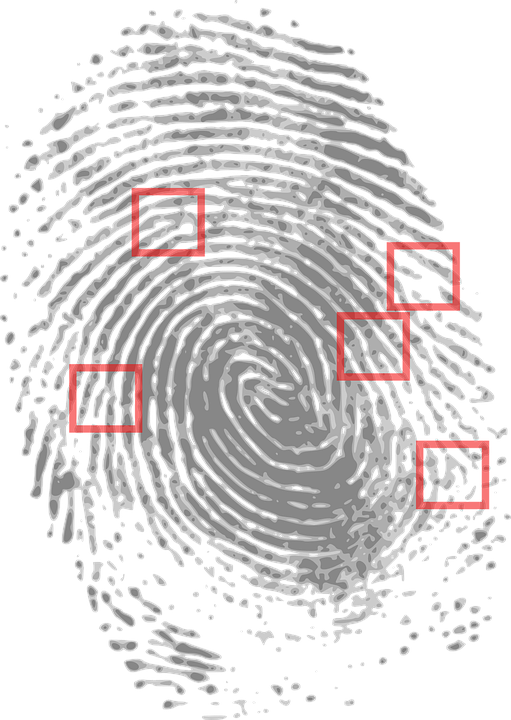 Fingerprint - Fingerprints Used To Solve Crimes (454x640), Png Download