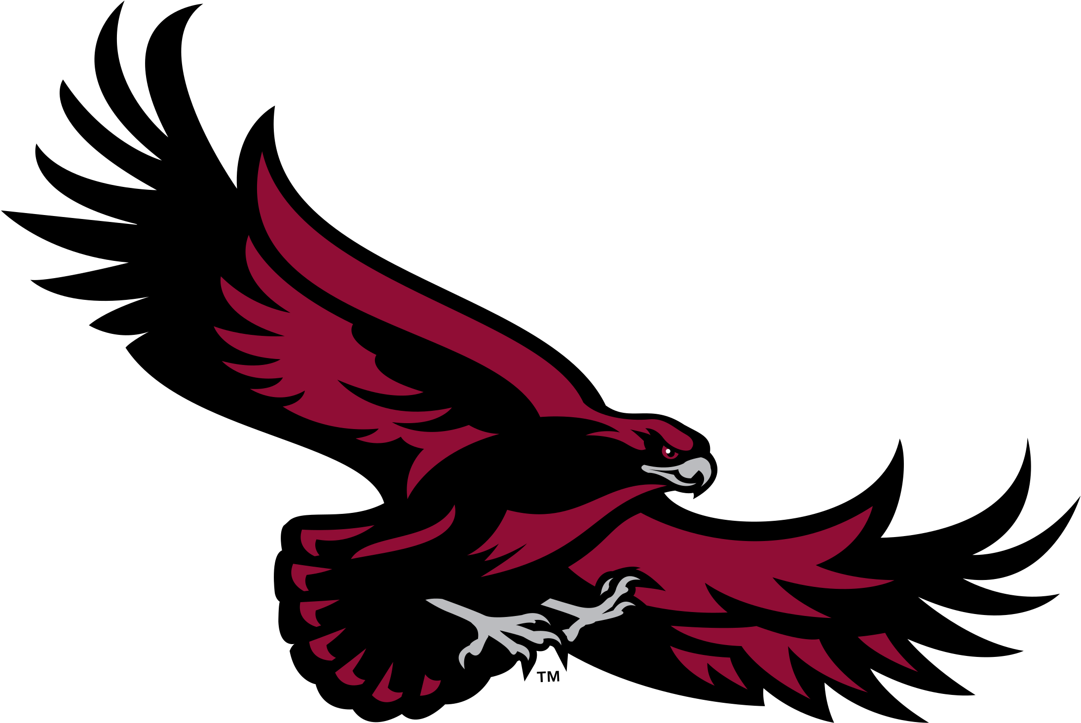 Saint Joseph's Hawks Logo Png Transparent - St Joseph's Hawks Logo (2400x2400), Png Download