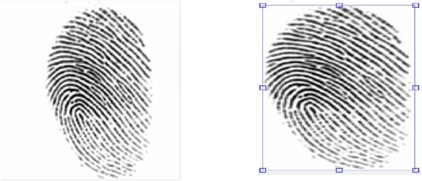 Example Of Roi Usually, Latent Fingerprints Are Collected - Crime Scene Fingerprints (850x392), Png Download