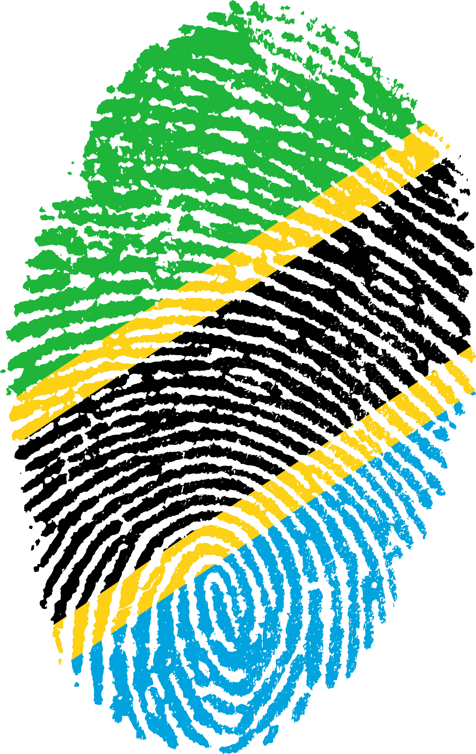 Fingerprint Transparent Png - Digital Bandeira Do Brasil (1573x2488), Png Download