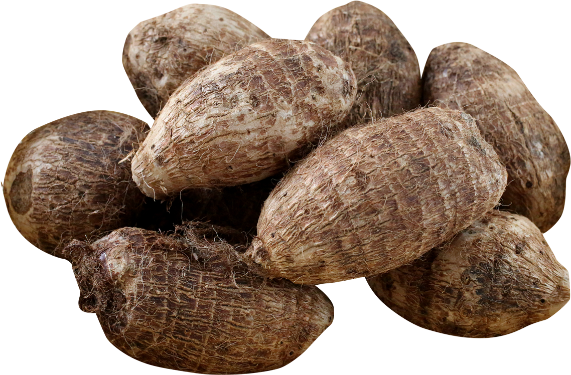 Taro Png Image1 - Taro Png (1211x818), Png Download