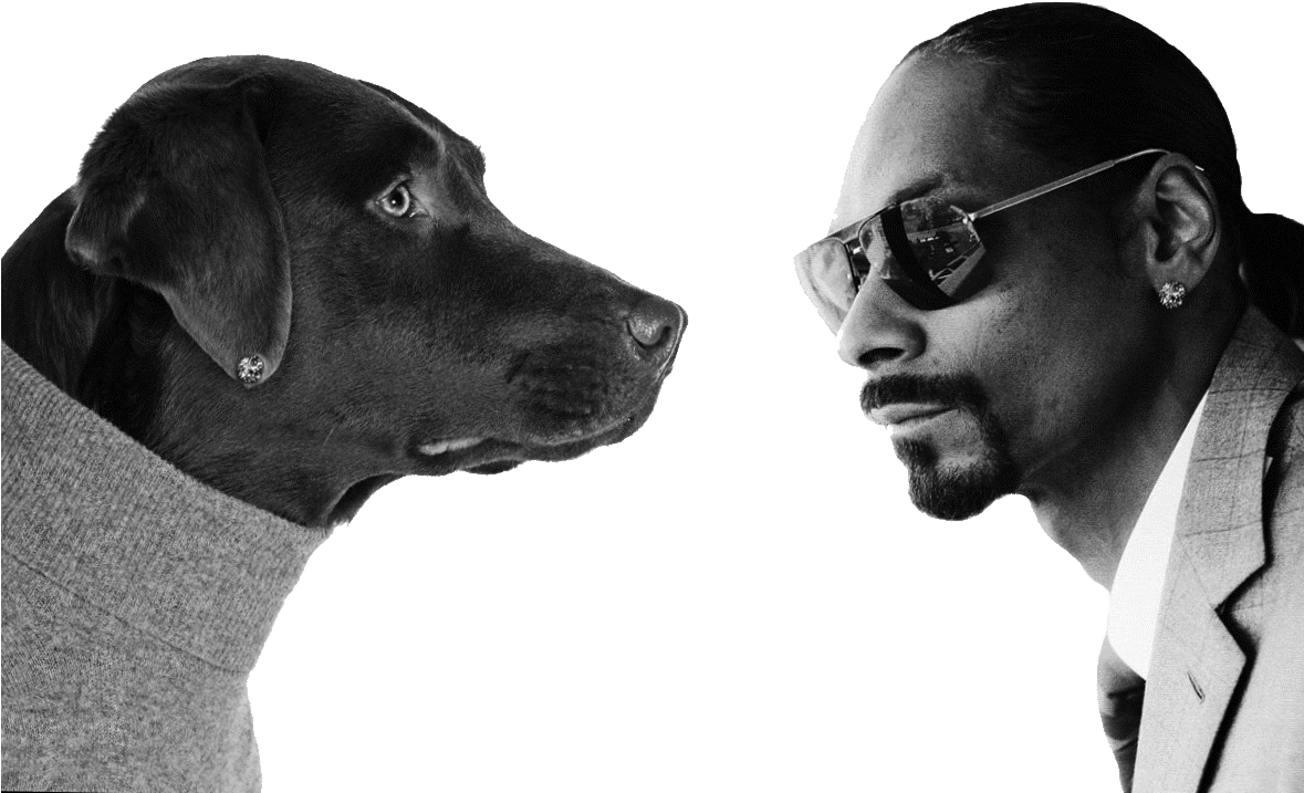 Snoop Dogg (1178x732), Png Download