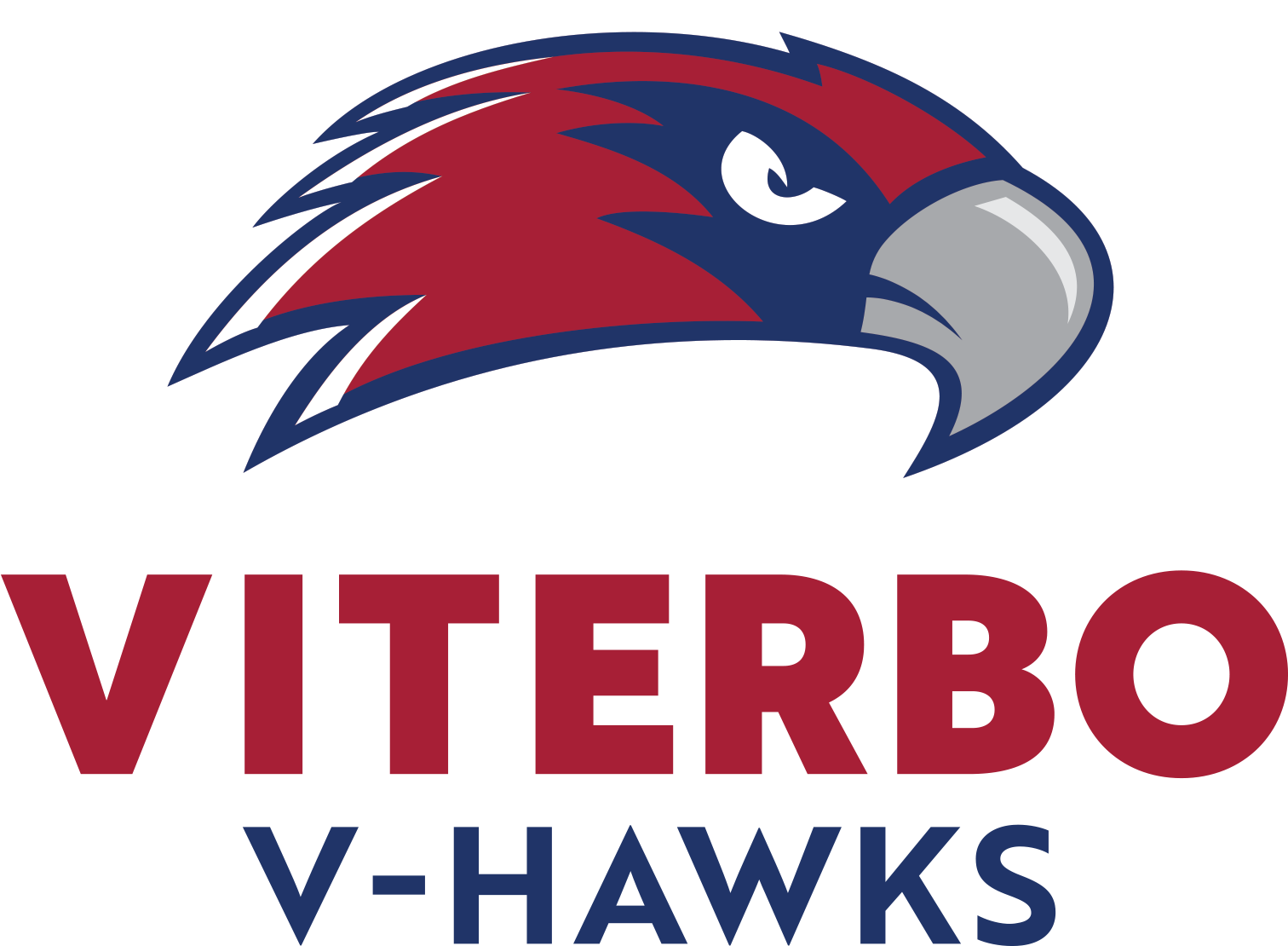 Naia Logo - Viterbo University V Hawks Logo (1725x1238), Png Download