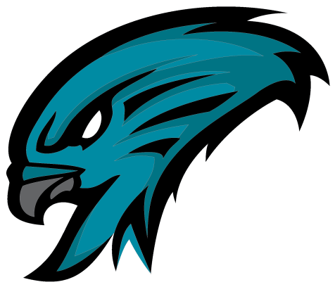 Hawk - Illustration (800x800), Png Download