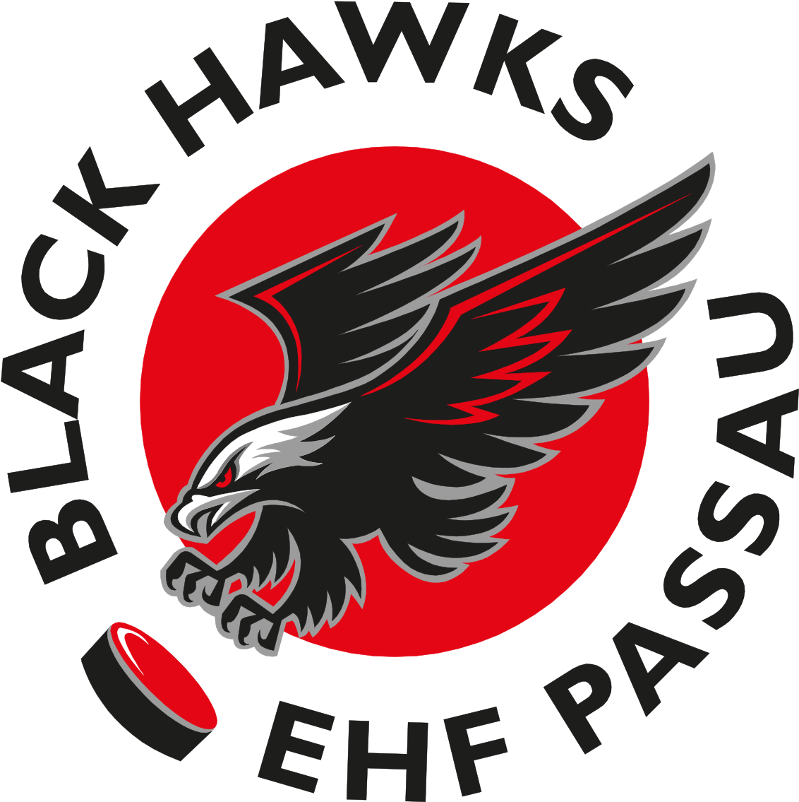 Ehf Passau Black Hawks Wikipedia - Ehf Passau Black Hawks (1200x1204), Png Download