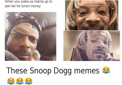Top 24 Snoop Dogg Memes - Funny Snoop Dog Memes (400x300), Png Download