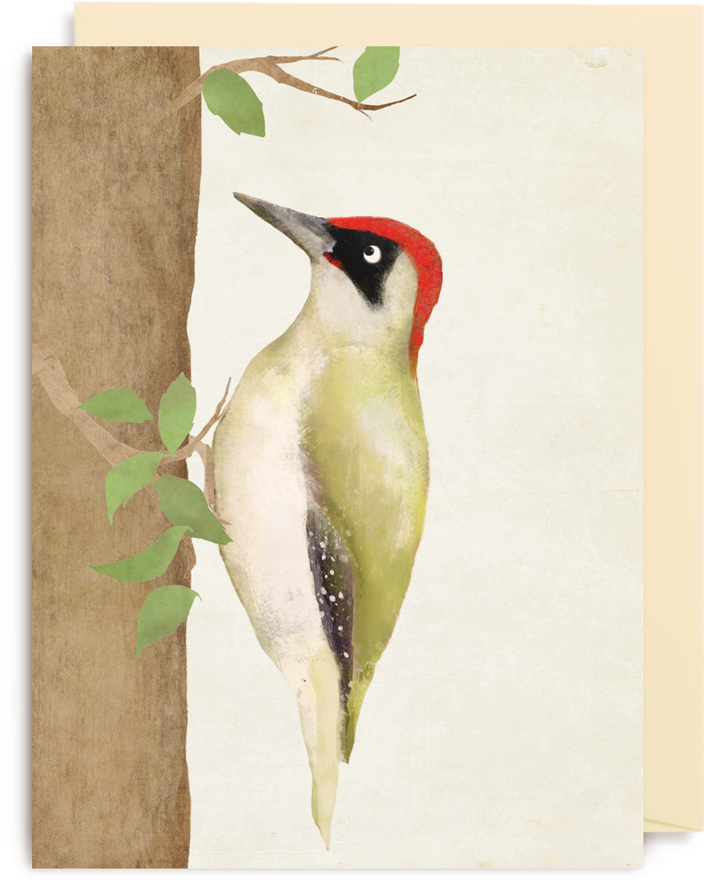 Woodpecker (1400x1500), Png Download