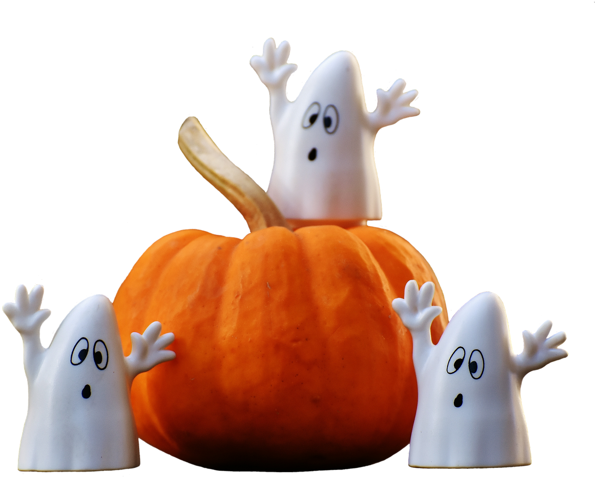 Funny Dog Costume Carrying Pumpkin - Ghosts On Pumpkin (1280x1067), Png Download