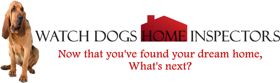 Noname3 - Bluthund-hündchen-gruß-postkarte Postkarte (1000x312), Png Download