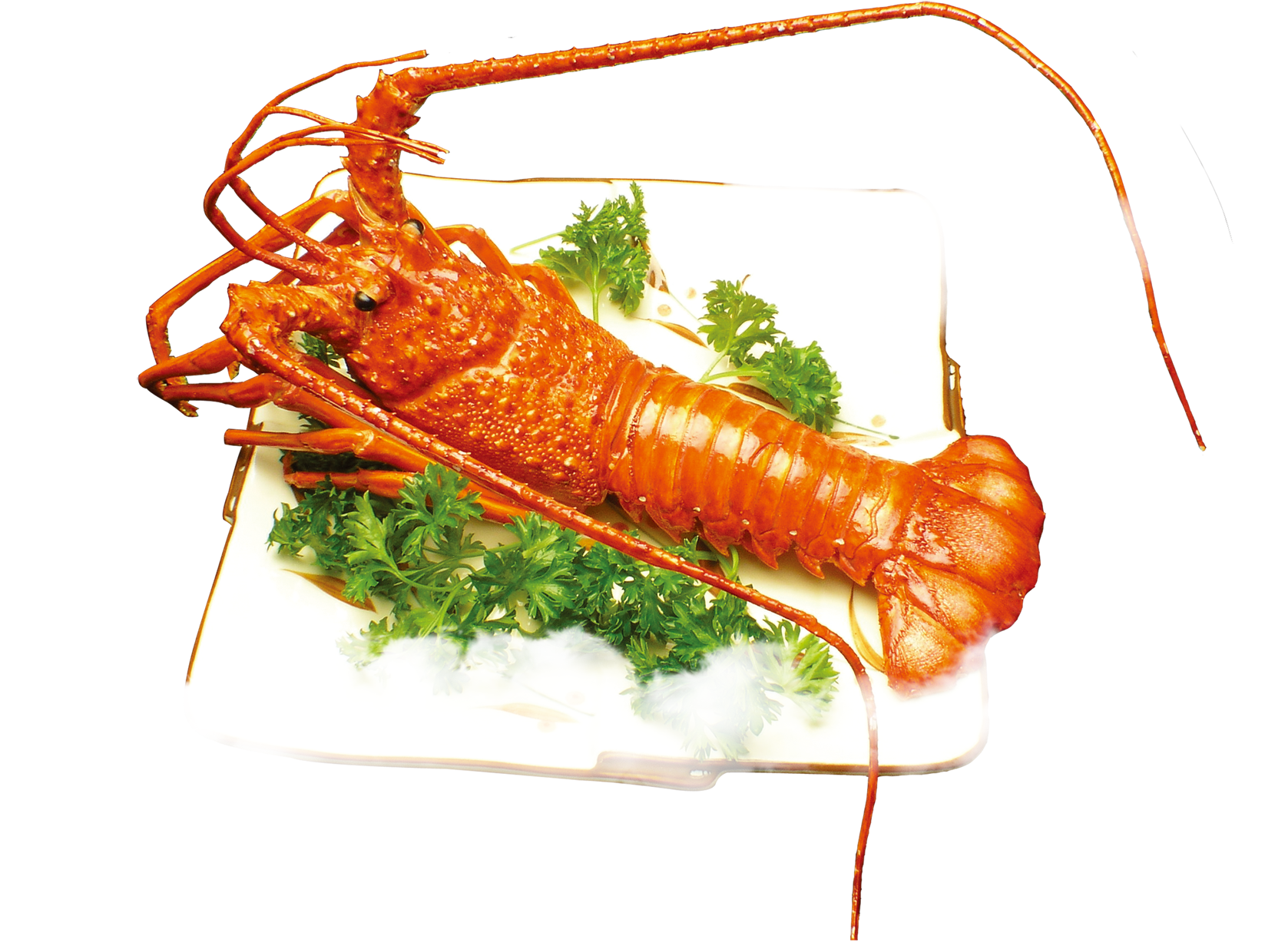 Lobster Meat Png - Ảnh Tôm (1848x1352), Png Download