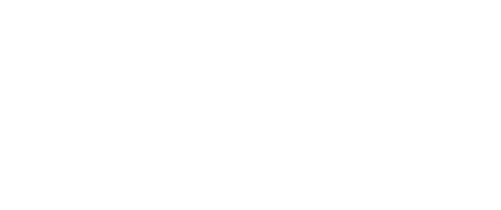 Senior Watch Dogs - Senior Watchdog, Inc. (1000x500), Png Download