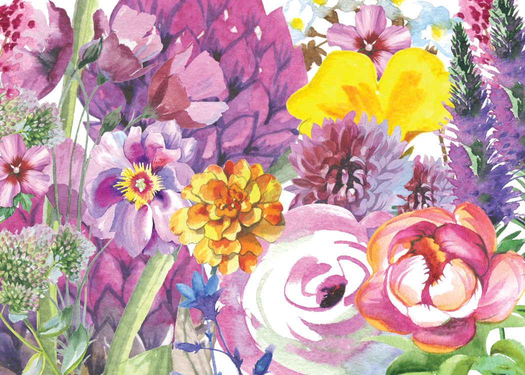 New Card Design I'm Implementing In My Customization - Common Zinnia (1050x750), Png Download