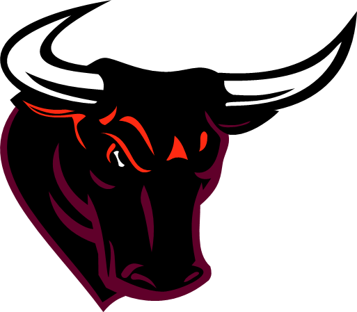 New Bulls Symbol - Bull Logo Png (513x449), Png Download