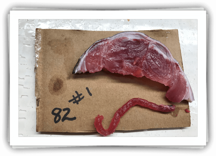 Grade - Seafood (900x651), Png Download