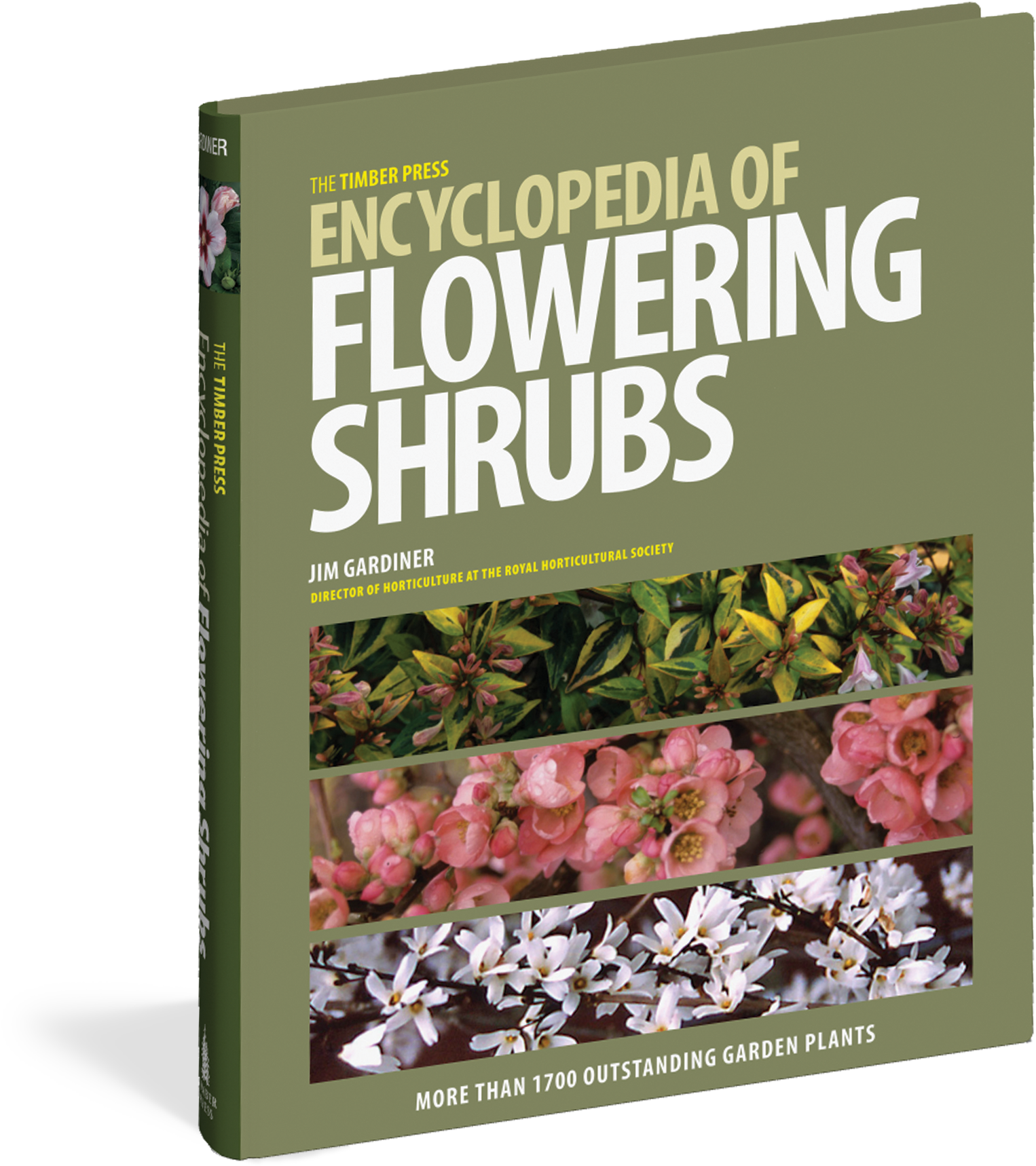 View Full Size Image - Timber Press Encyclopedia Of Flowering Shrubs (hardback) (1650x1800), Png Download
