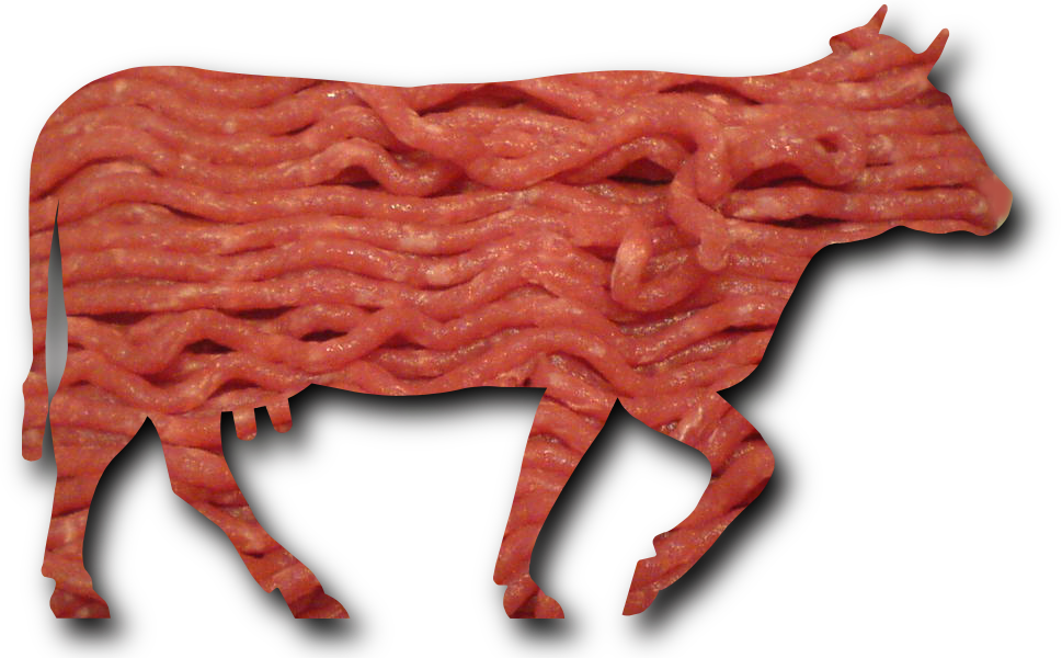 Minced Beef Meat Cow Cattle Shadow - Smell Like Beef (969x600), Png Download
