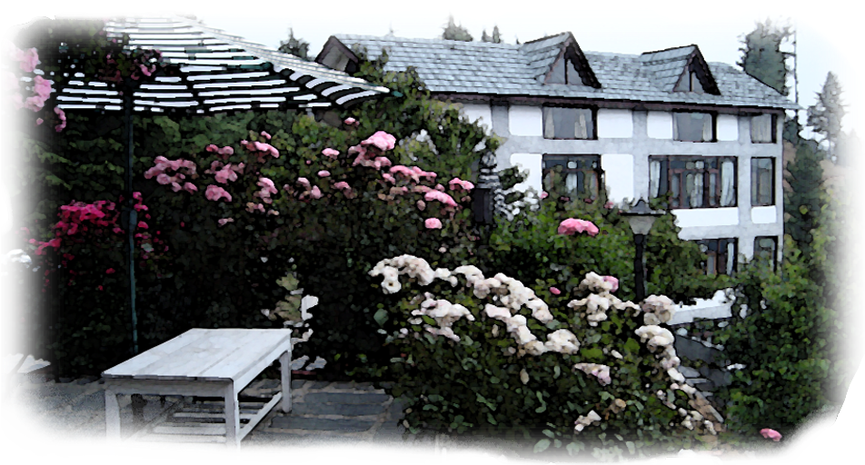 Gallery10 - Garden Roses (1002x530), Png Download