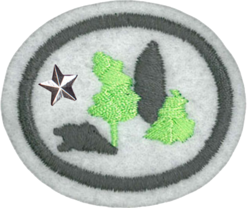 Advanced Honor - Emblem (789x666), Png Download