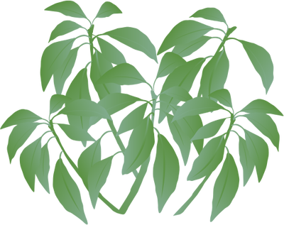 Ian Symbol Generic Shrub Tropical (400x317), Png Download