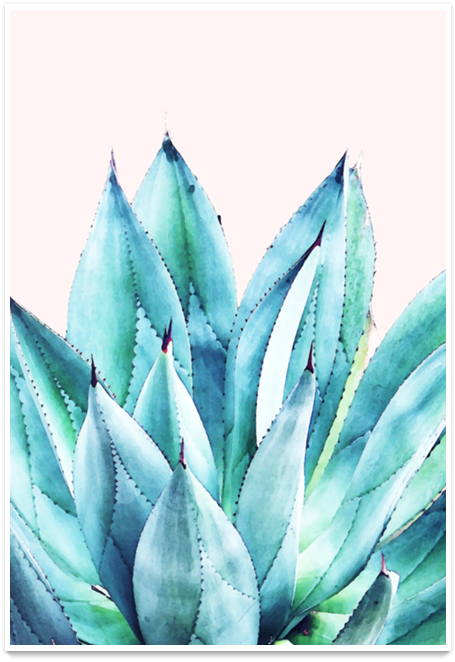 Poster Agave Vibe De 83 Oranges™na - Agave Watercolor (800x800), Png Download