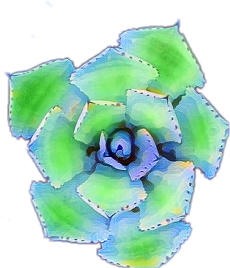 Agave (336x392), Png Download