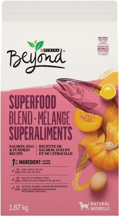 400 Pcs Map Tacks Push Pins Glass Ball Head Pins, Steeless (750x750), Png Download