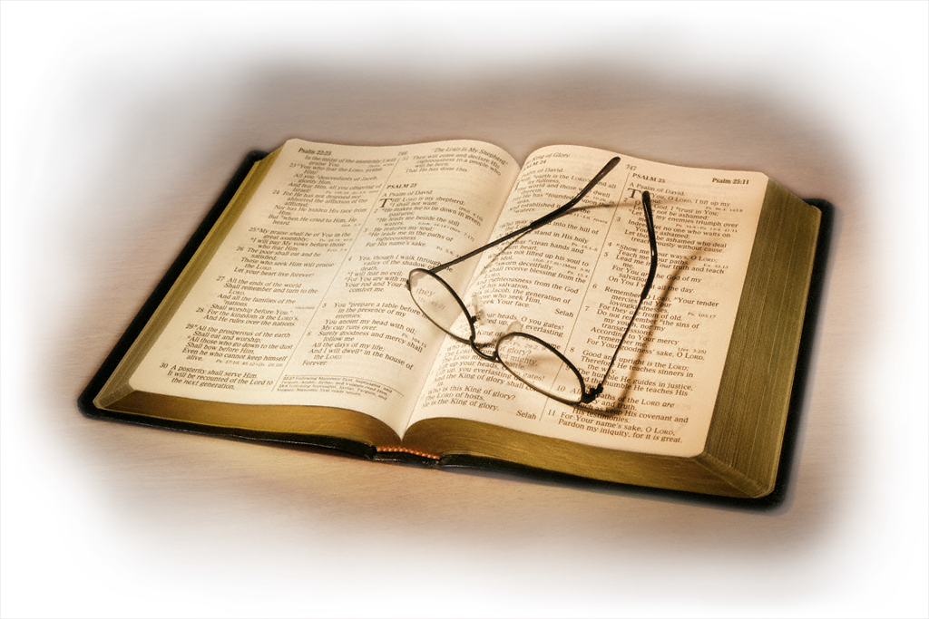 Por Espacio De 21 Años, Y A Quien Le Surgió La Idea (1024x683), Png Download