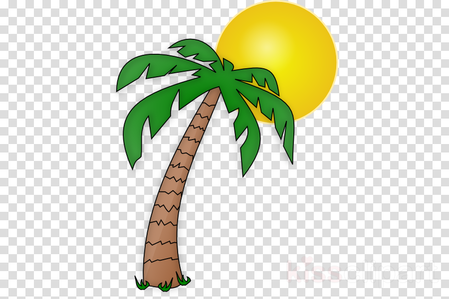 Transparent Background Palm Tree Clipart Palm Trees (900x600), Png Download