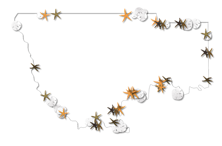 A Map Of Wakulla With A Thin Black Outline, Inner Drop (768x507), Png Download