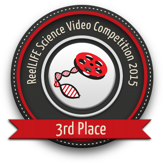 Flip The Coin - Freekwency - Download (360x360), Png Download