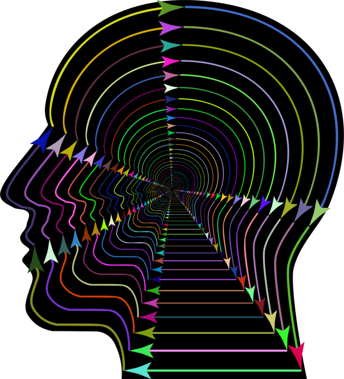 Line Art Computer Icons Skull - Clip Art (680x750), Png Download