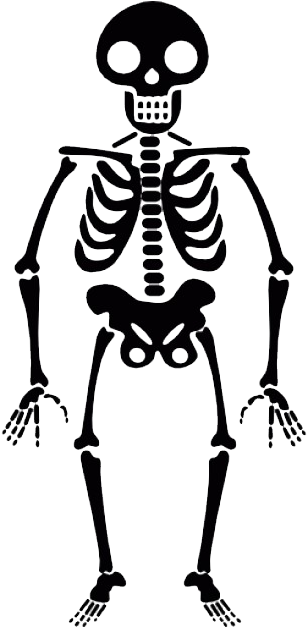 Skeleton Skulls Png Images Free Download - Skeleton Transparent (626x626), Png Download