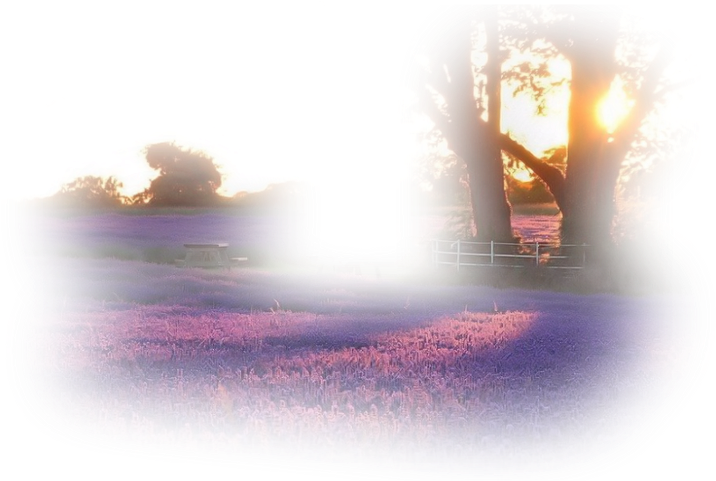 Road (723x480), Png Download