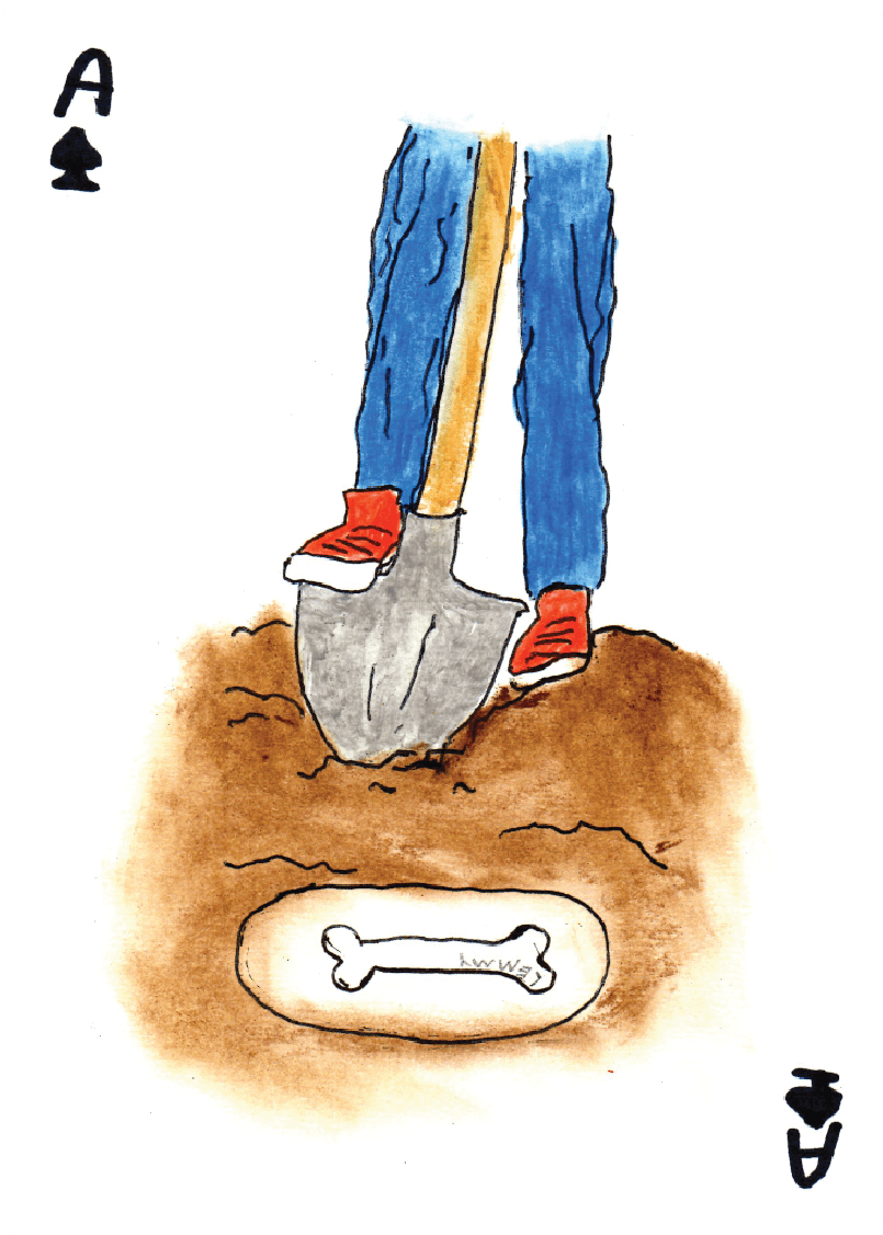 Highlights From The Collection - Still Life (908x1238), Png Download