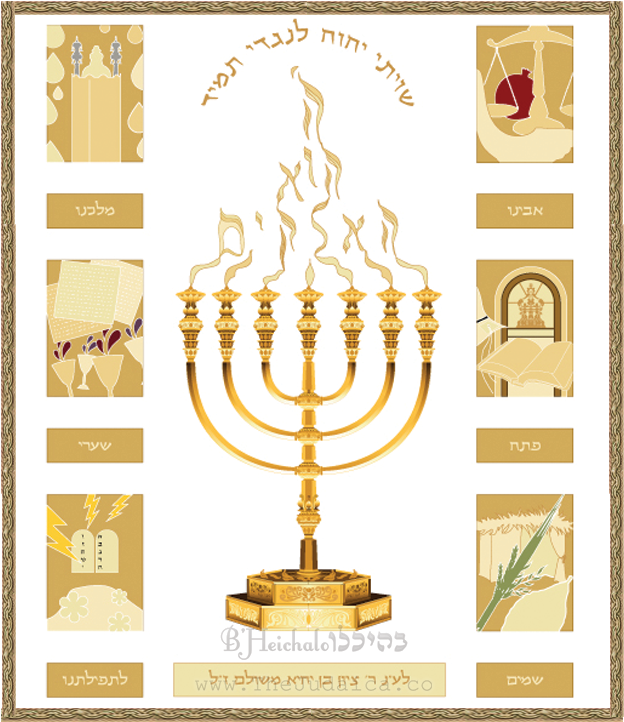 P Ho 012 Evocative Menorah Flame Holiday Symbols - Hanukkah (800x800), Png Download