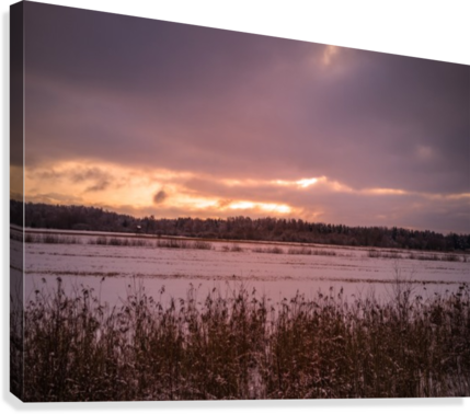 Calm Evening Photo With The Field And Forest With The - Photograph (429x378), Png Download